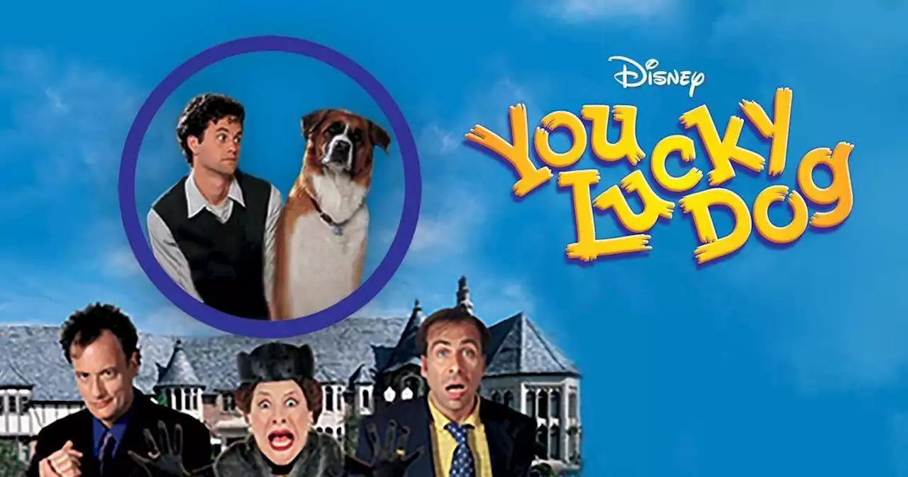 You Lucky Dog: Where to Watch & Stream Online