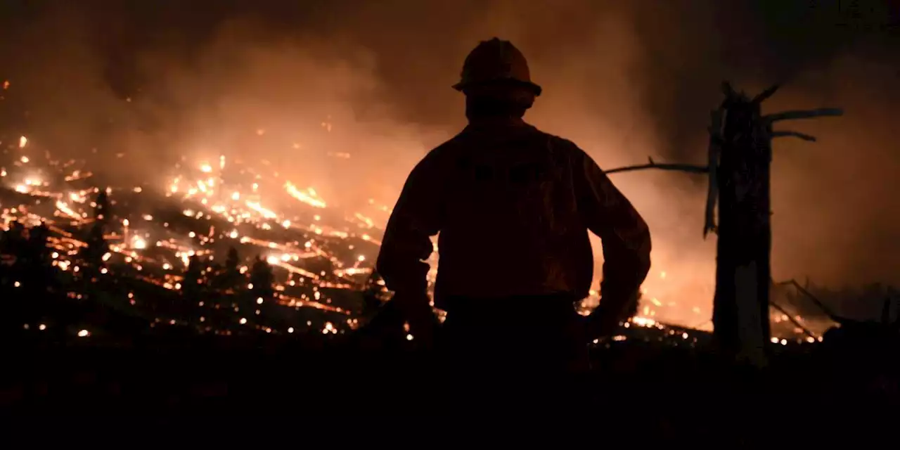 Study Shows Deadly Northwest Heatwave Would've Been 'Virtually Impossible' Without Climate Crisis