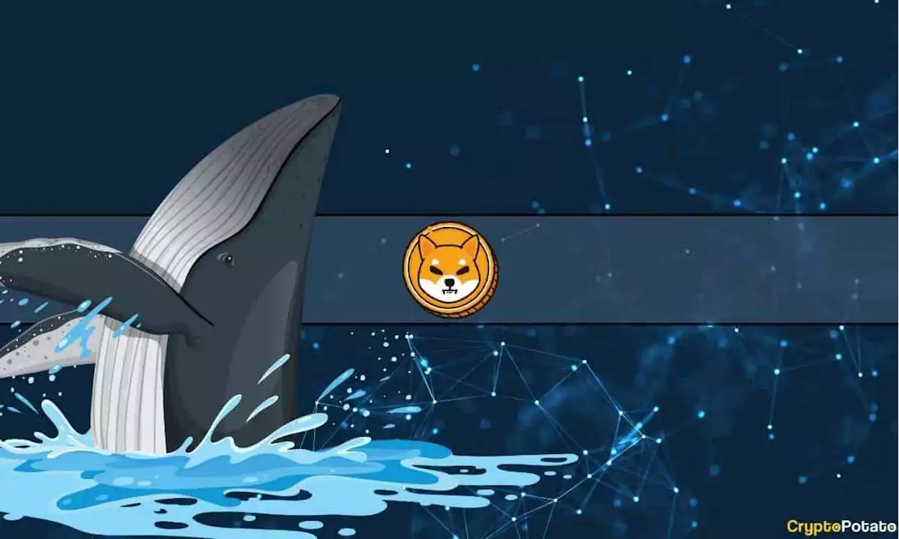 Shiba Inu (SHIB) Whale Makes a Splash With Massive Token Transfer Amid Shibarium Relaunch