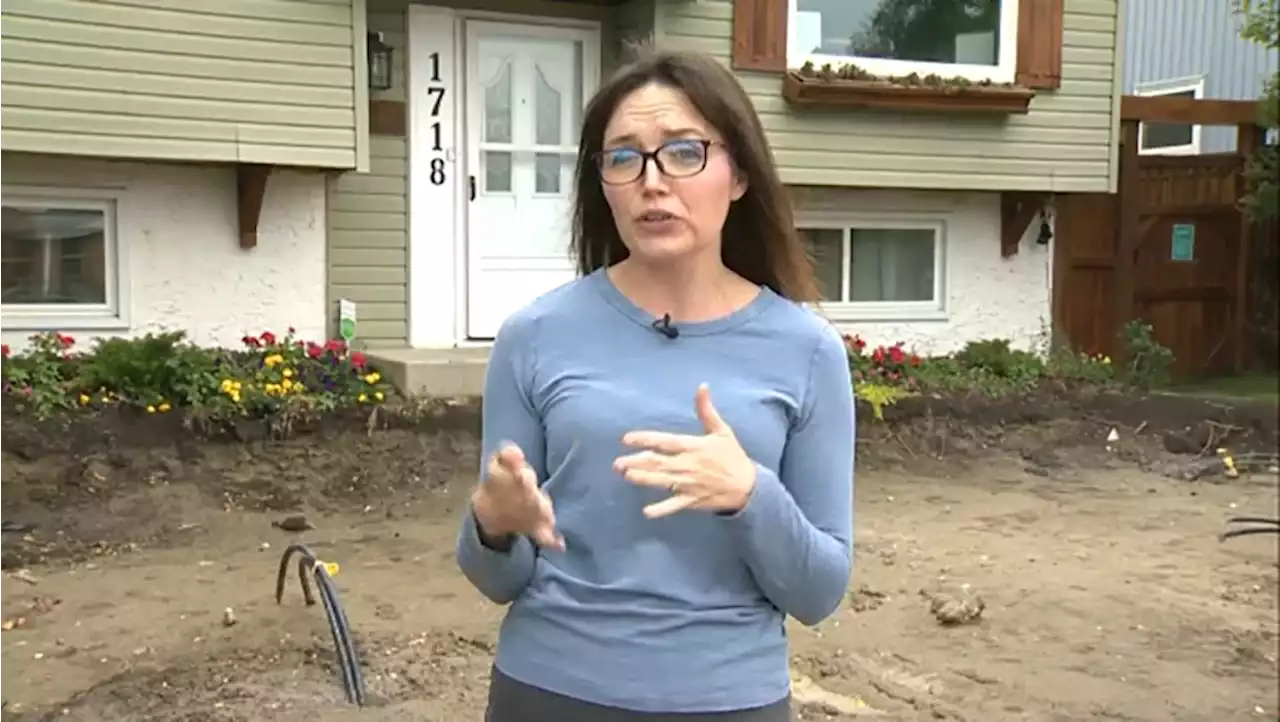 Airdrie family enters 'Live Net Zero' competition