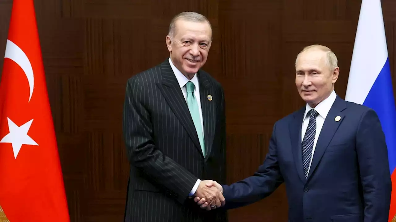 Russia's Putin and Turkey's Erdogan will meet next week after Ukraine grain deal unraveled