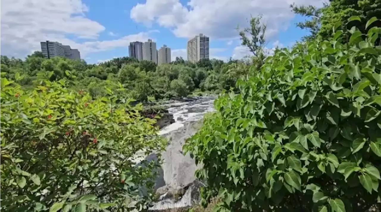 Sunny and warm start to September in Ottawa