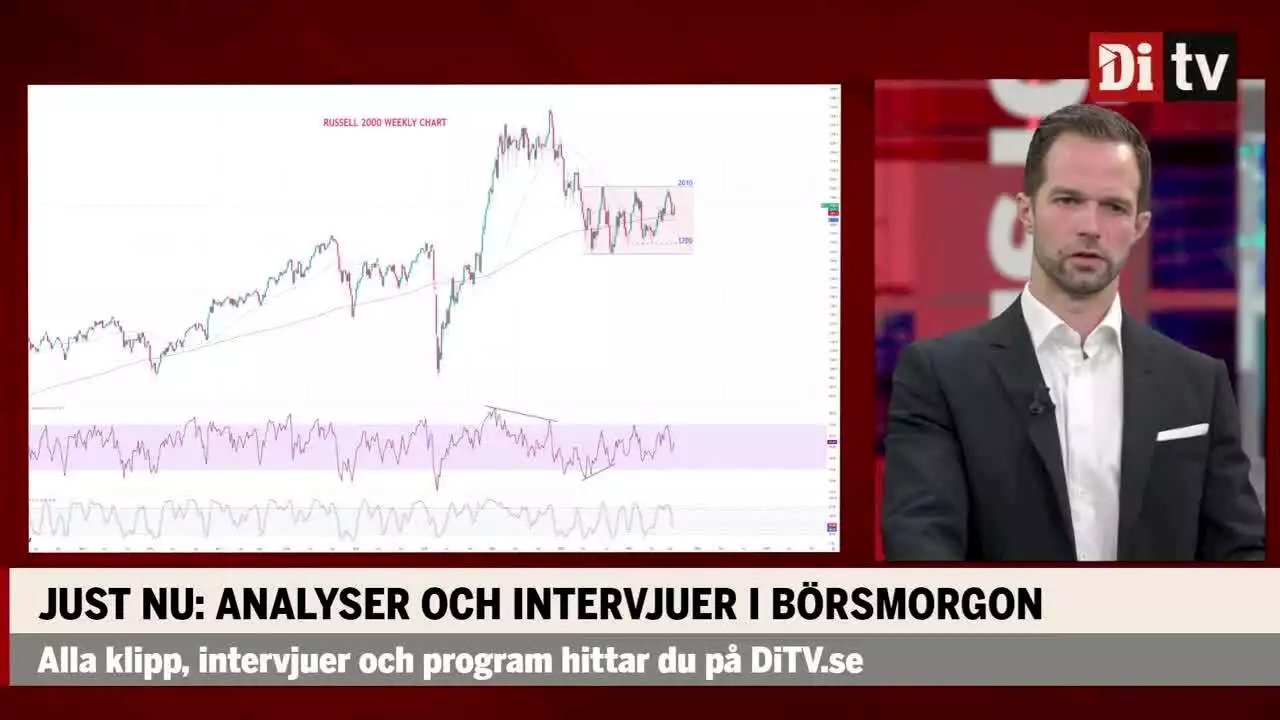 Profilen om småbolagen: 'Viktigt att bevaka – sannolikt för hög uppgång'