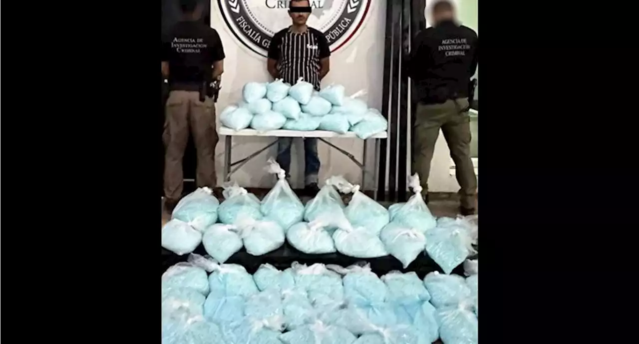 Decomisa FGR 2.6 millones de pastillas de fentanilo en Sinaloa