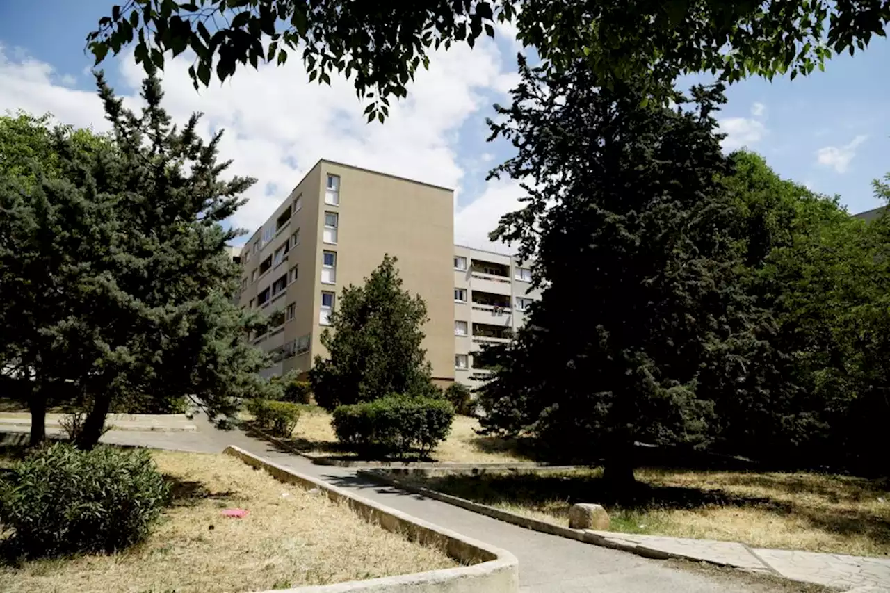 Un homme d'une vingtaine d'années tué par balle, à la cité des Micocouliers, à Marseille