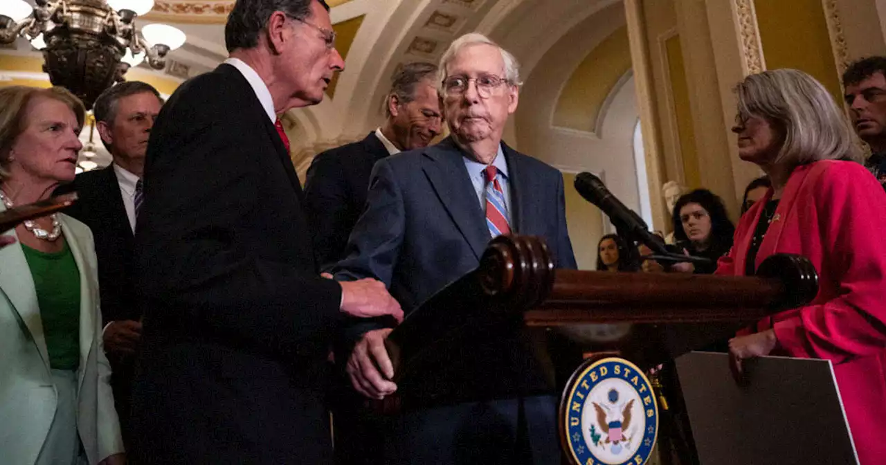 Neurologists Speculate What Might Be Wrong With Mitch McConnell