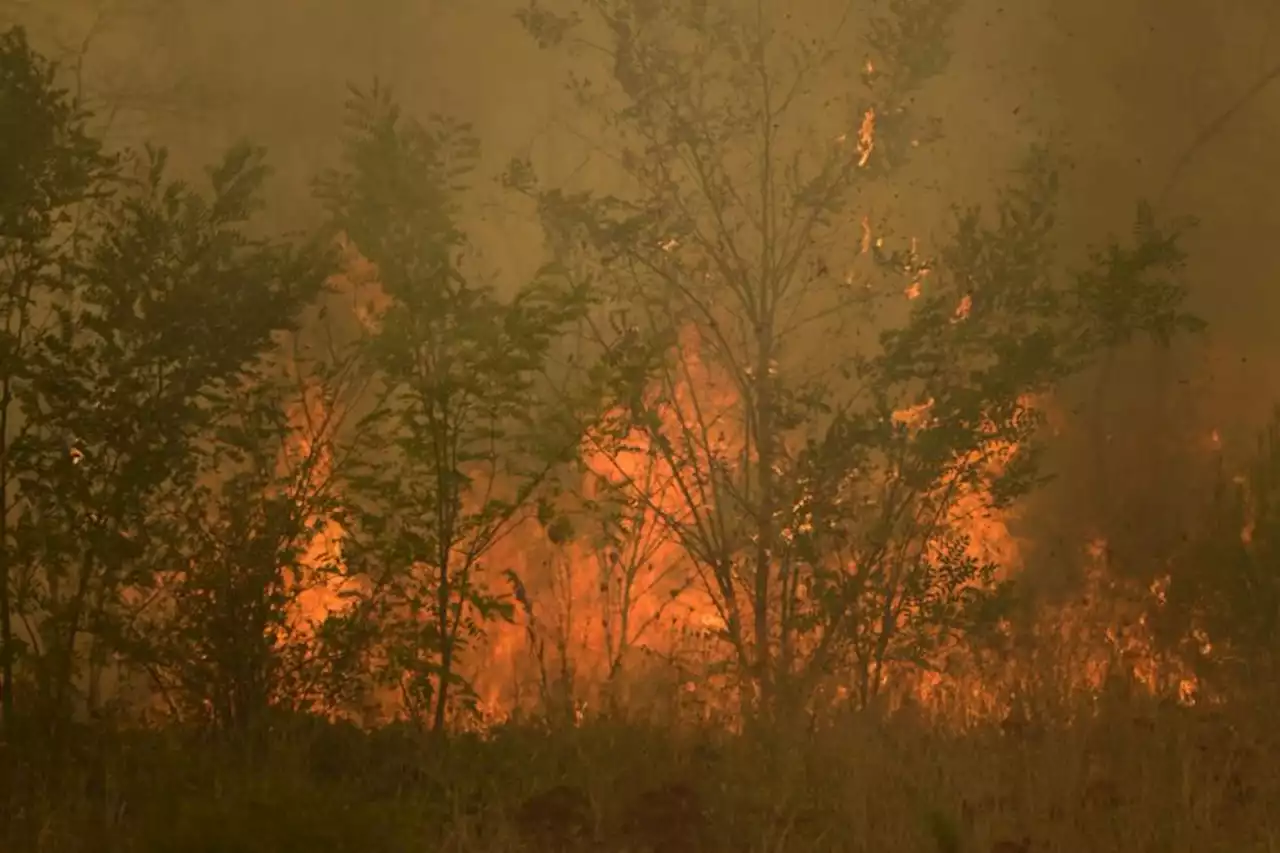 Greek firefighters rescue 25 migrants trapped in forest as wildfire approaches