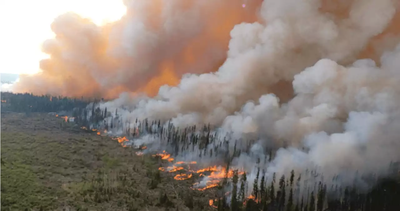 ‘Far from being in the clear’: B.C. extends state of emergency as wildfires, drought drag on