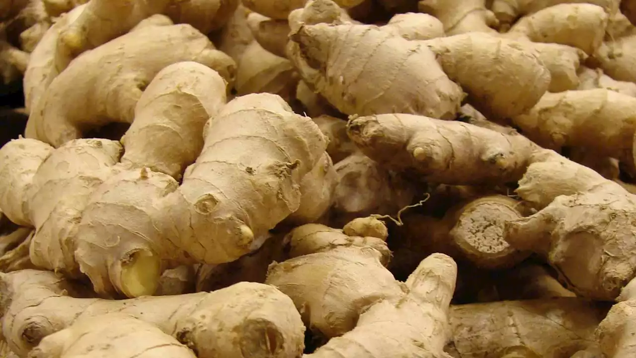 Farmers seek help as Kaduna loses N10b to ginger fungus