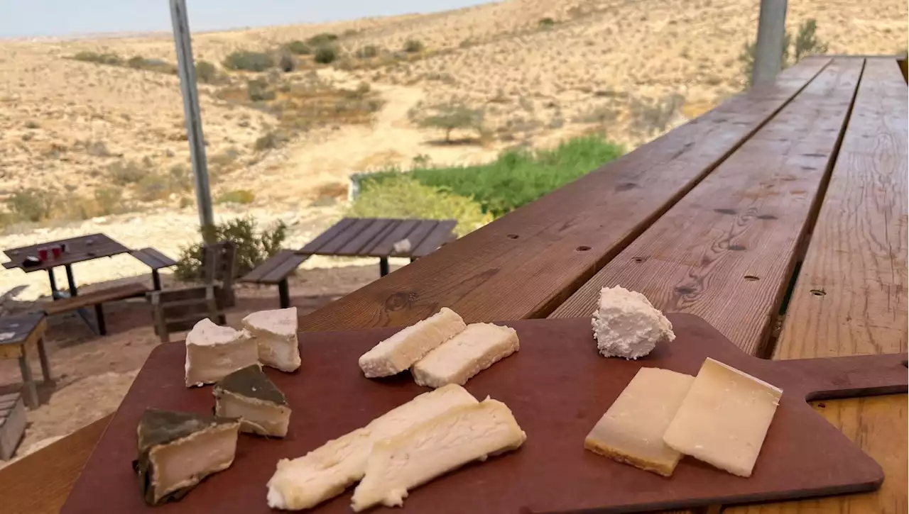 Da Israele i formaggi (in stile francese) che nascono nel deserto