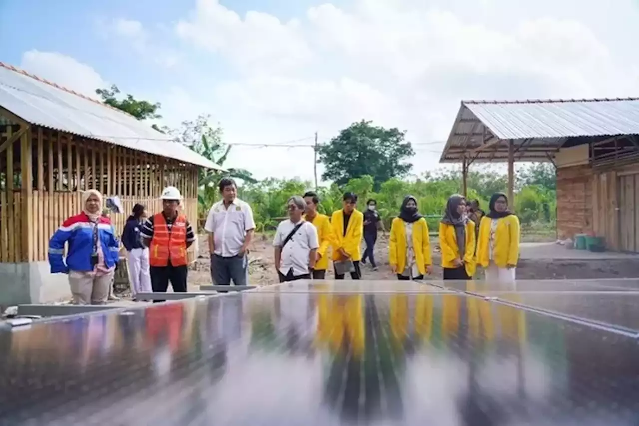 Dorong Peningkatan Ekonomi Lewat Desa Energi Berdikari hingga UMK Academy, Pertamina Raih Award TJSL