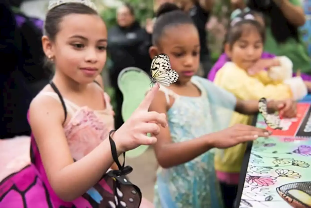 San Antonio Zoo honors frontline heroes with free admission in September