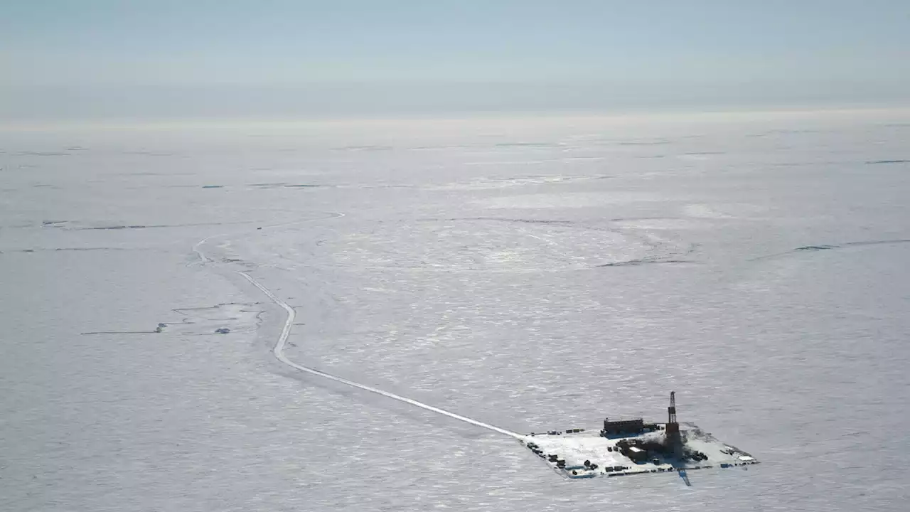 ConocoPhillips says court case is likely do-or-die for Willow Arctic oil project