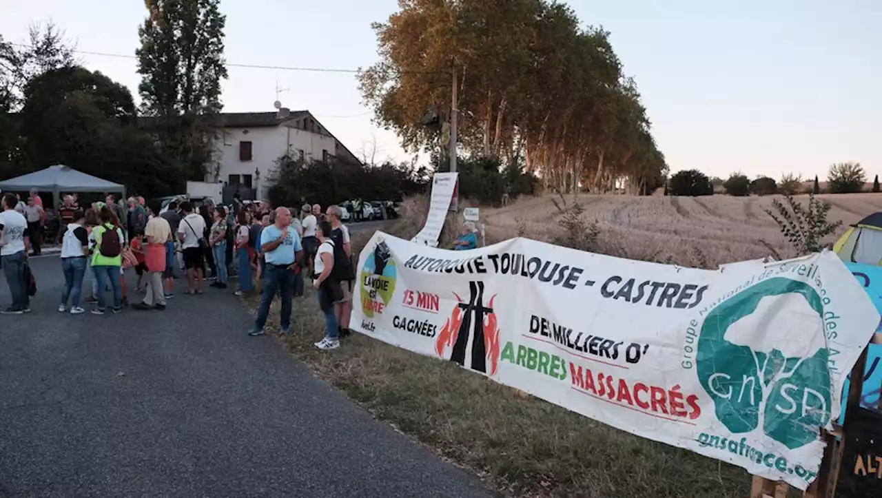 Autoroute A69 Toulouse-Castres : les arbres abattus en pleine nuit sous les yeux des manifestants