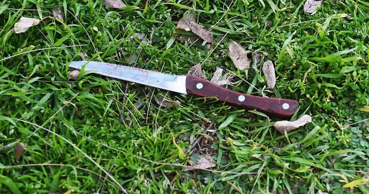 Crimen del ingeniero: el cuchillo utilizado fue encontrado por un periodista que cubría la nota | Sucesos