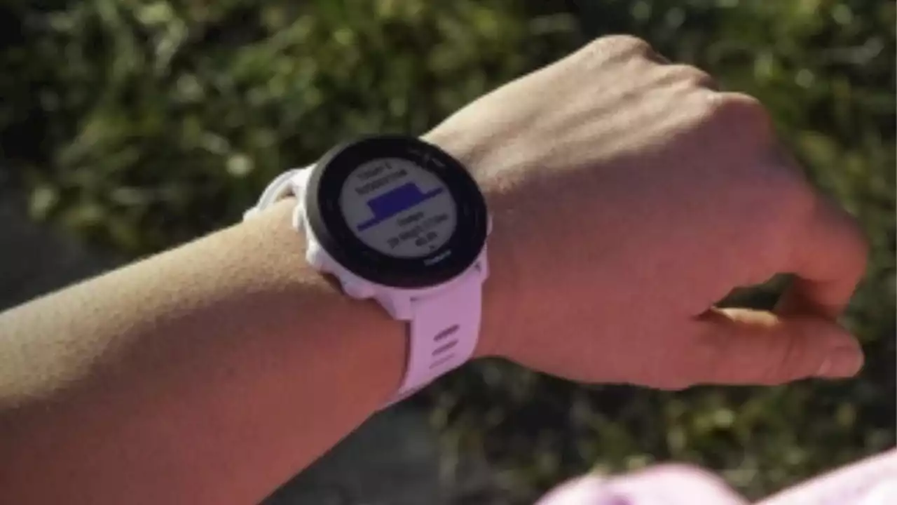 Améliorez vos performances sportives avec cette montre Garmin Forerunner 55 à prix cassé