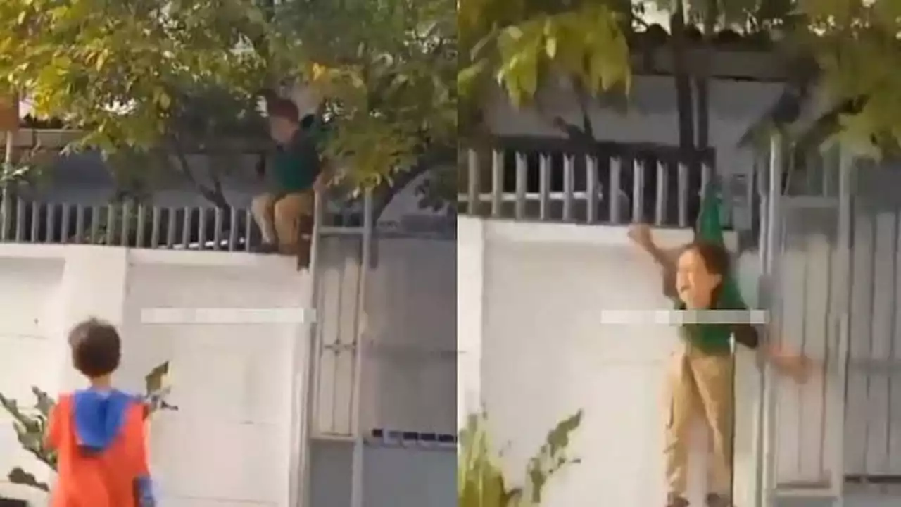 Viral Momen Bocah Tersangkut di Pagar Usai Petik Buah, Bikin Geleng Kepala