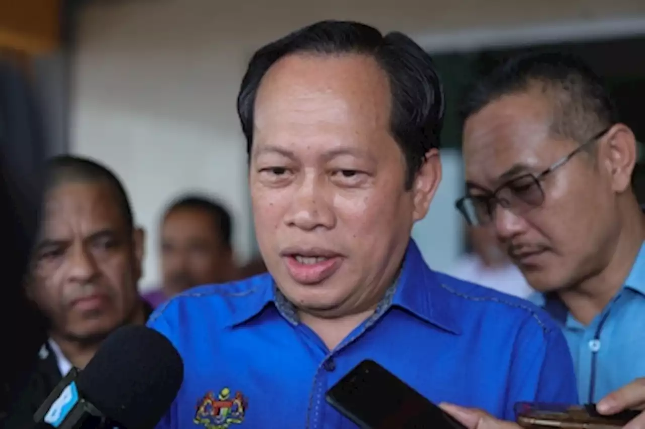 Ahmad Maslan: Candidates representing unity govt to use Pakatan logo in Johor polls, not BN’s ‘dacing’