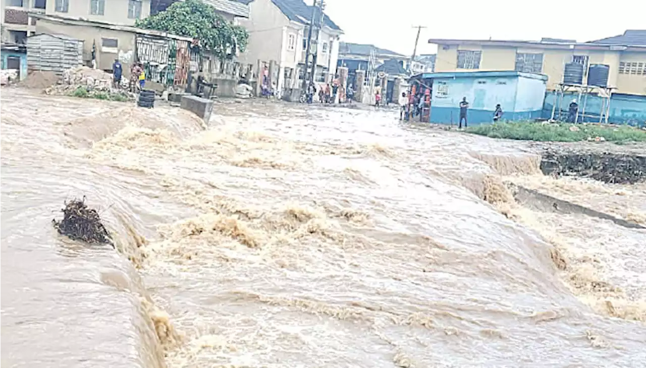 Adamawa flood claims five, agency sensitises residents