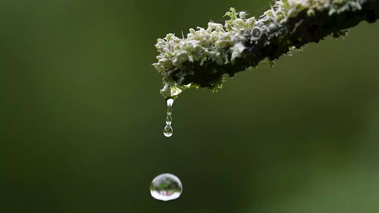 Regen, Gewitter und Sonne im Wechsel am Wochenende in Bayern