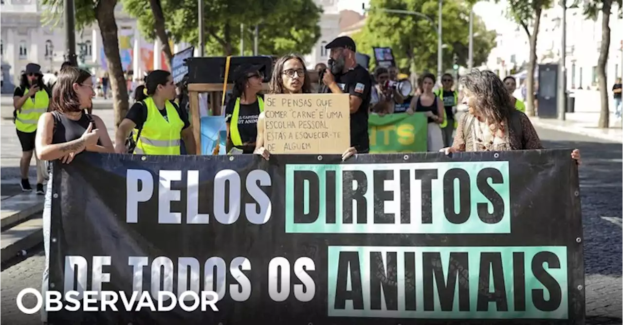 Marcha pelos direitos dos animais regressa a Lisboa no sábado