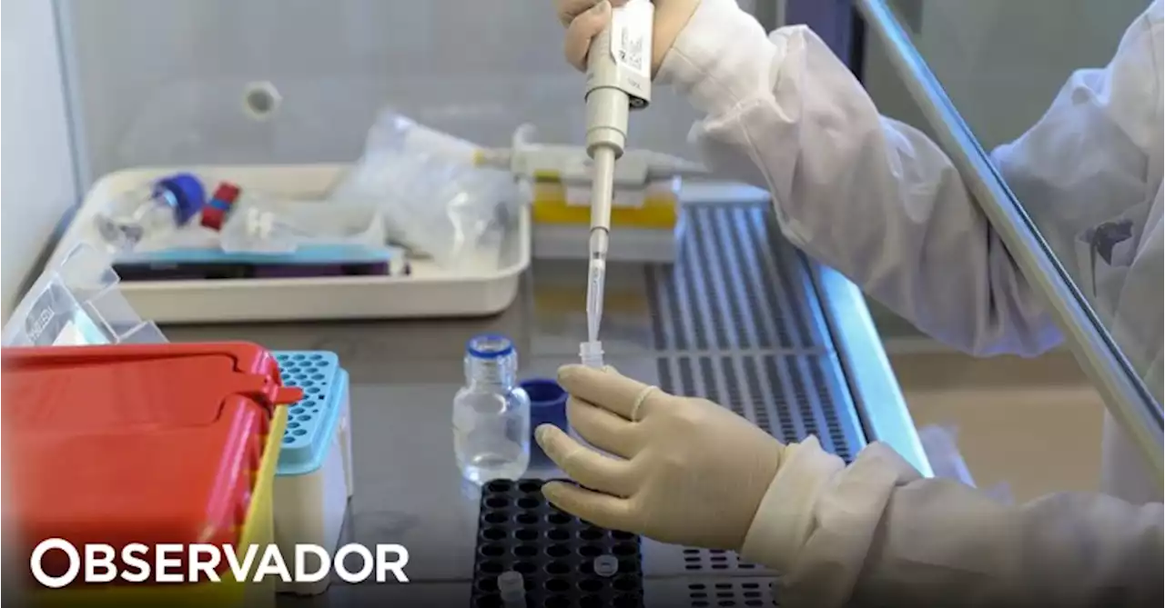 Mpox: quase 100 casos detetados em Portugal desde junho