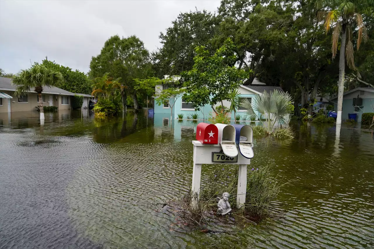 Florida se vuelca en el rescate de personas y tareas de recuperación tras Idalia