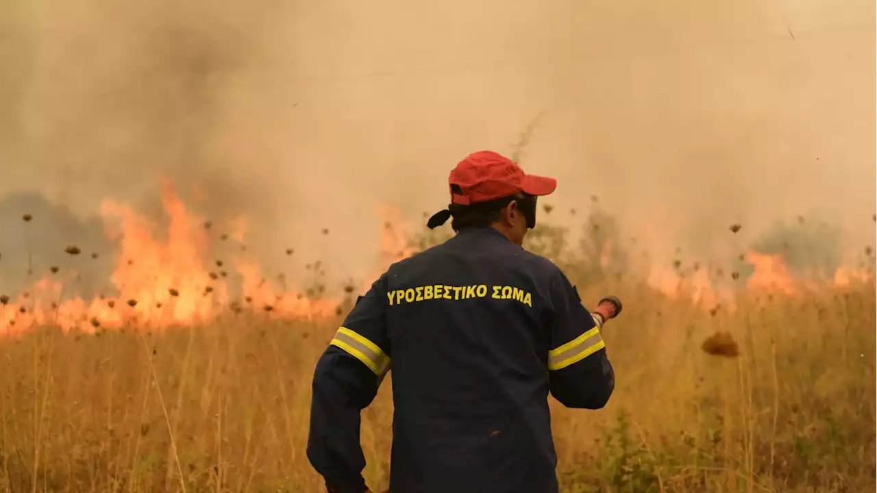 Grecia, l’incendio più grande della storia d’Europa: distrutta un’area grande come Londra