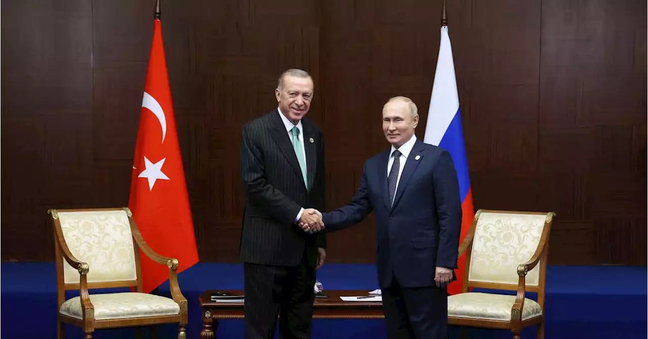 Putin to meet Erdogan amid push to revive grain deal