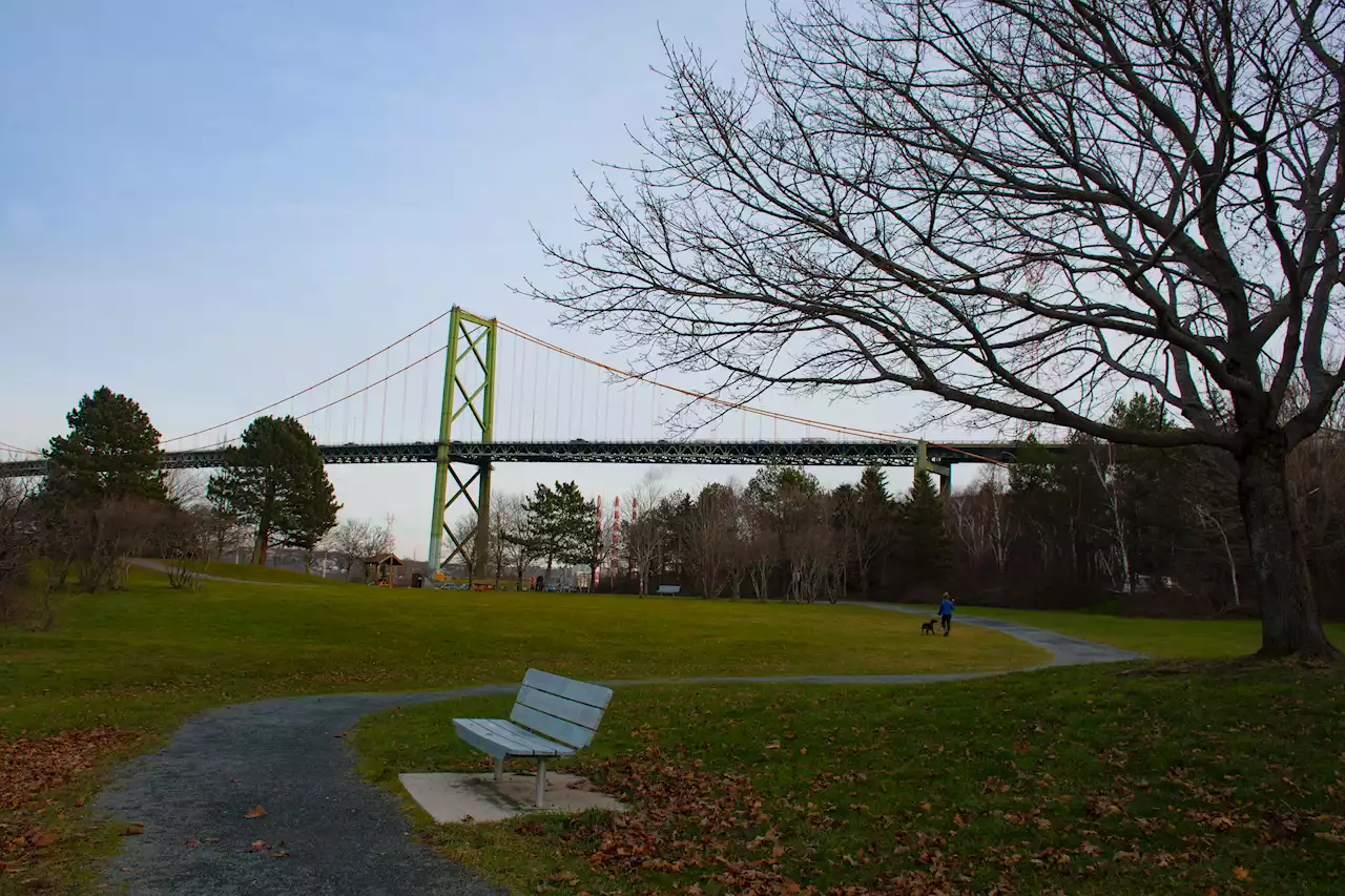 Rope hung in tree at Africville Park in Halifax, police investigating