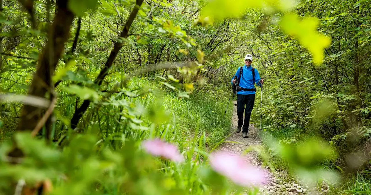 Utah’s growing retiree population has one major complaint about the Beehive State