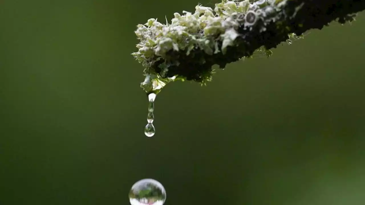 Regen, Gewitter und Sonne im Wechsel am Wochenende in Bayern