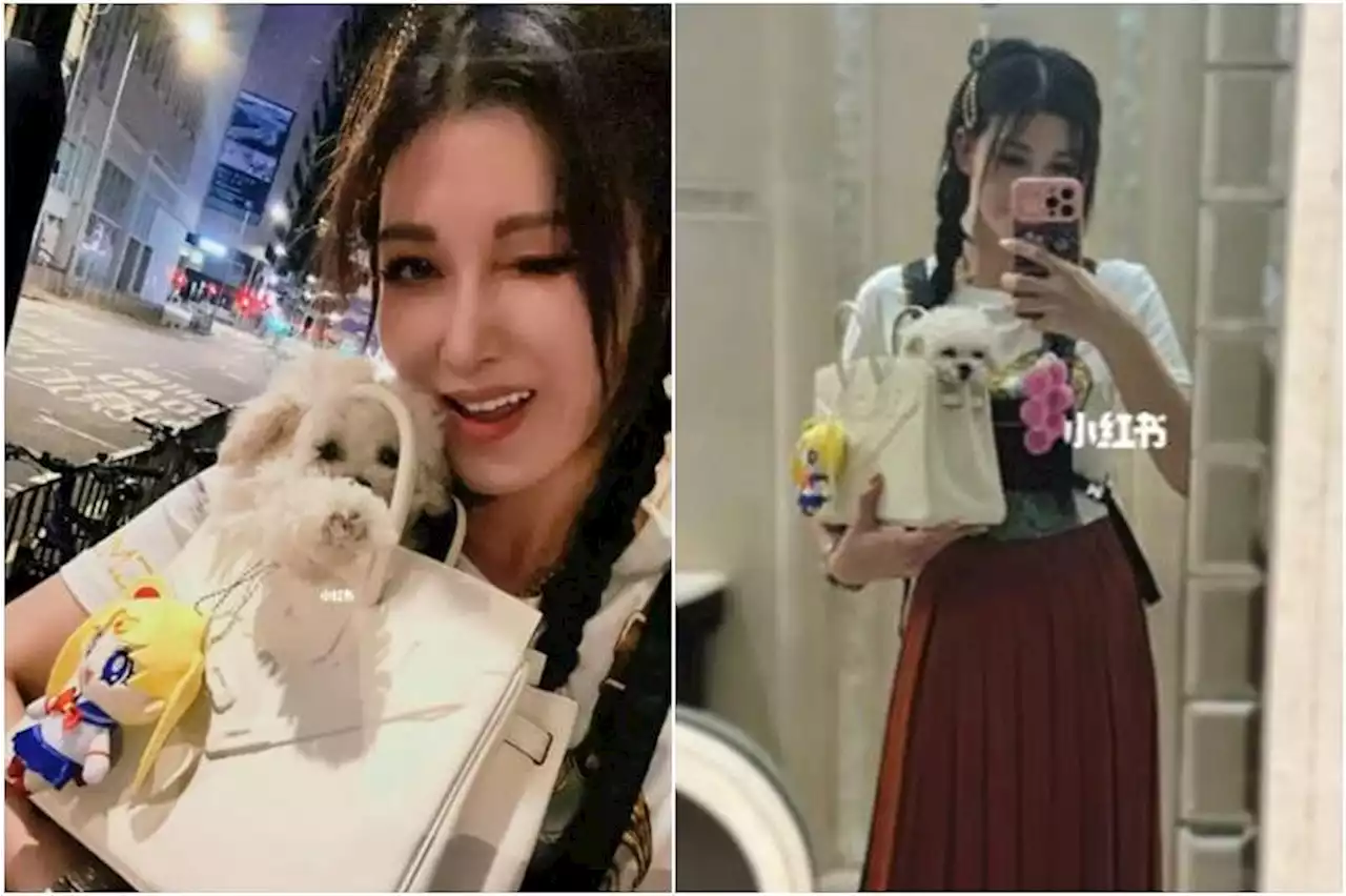 Hong Kong actress Rain Lee shows off pet dog in $70,000 Hermes bag