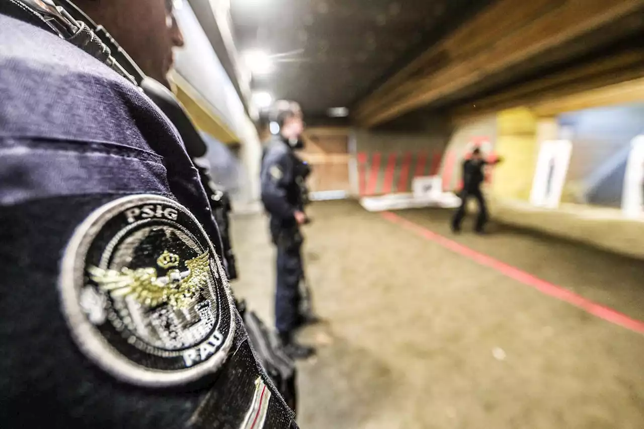 Landes : il menace les gendarmes avec un hachoir puis se retranche chez lui