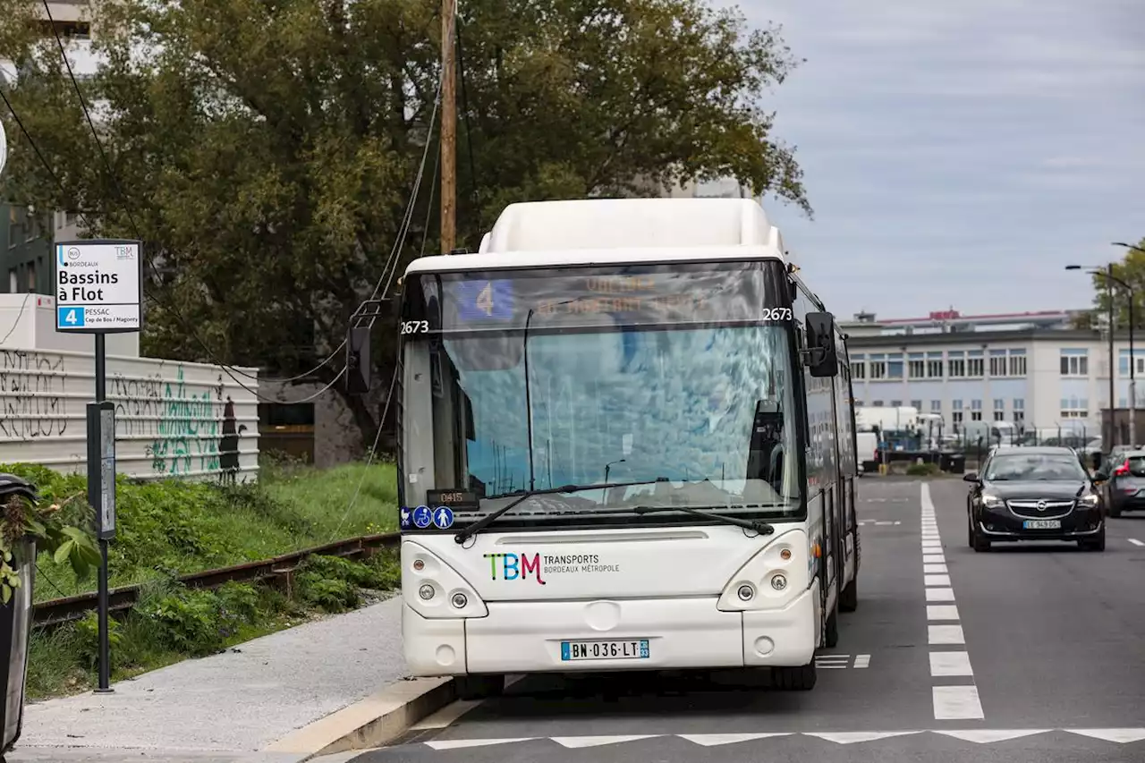 Transports à Bordeaux : le palmarès 2022 de la fréquentation des lignes de bus et tram dans la métropole