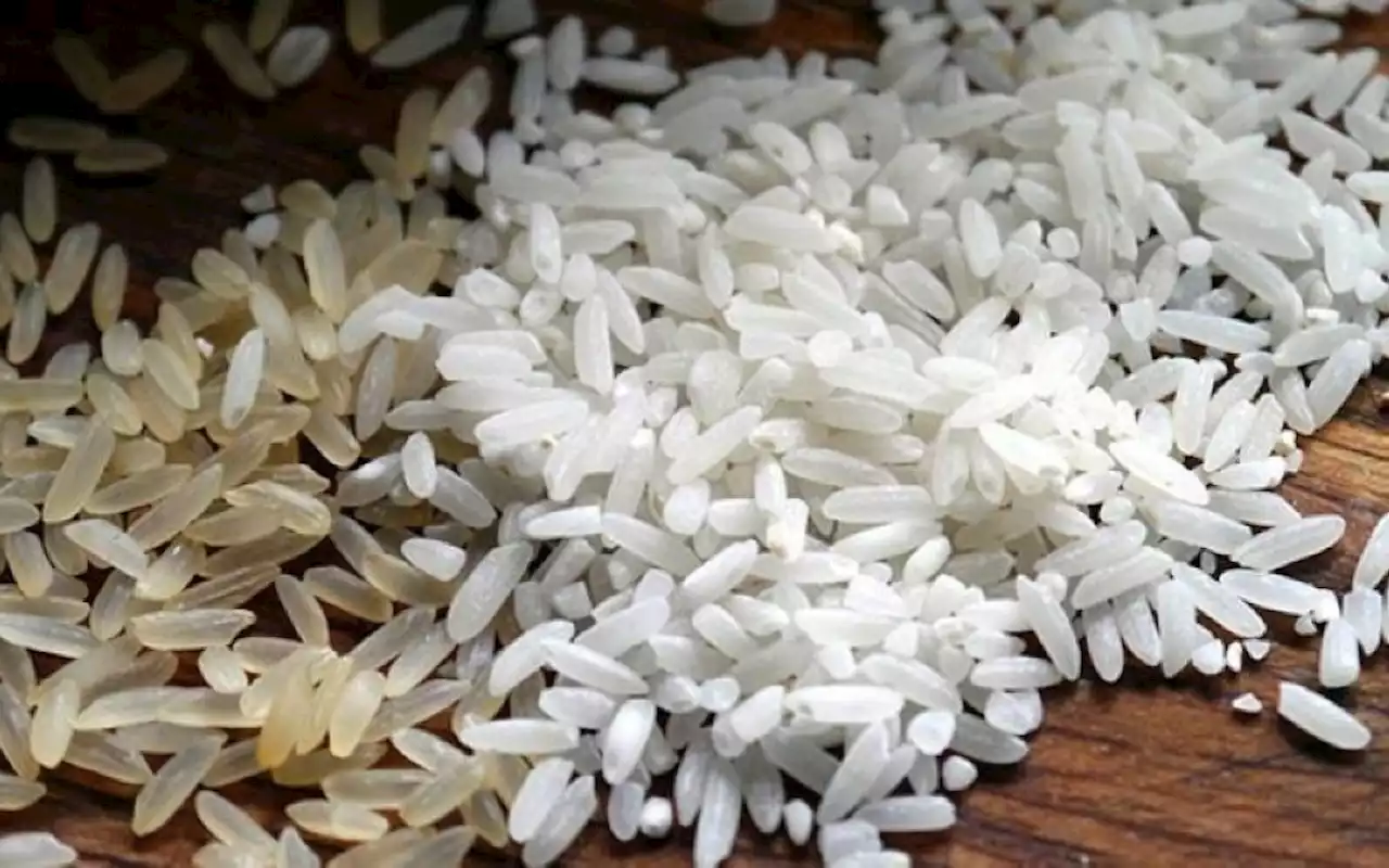 PBBM sets price ceilings of P41, P45 for rice nationwide