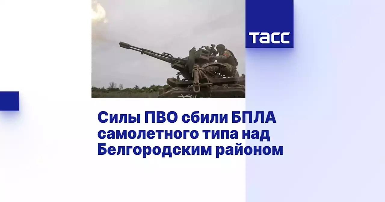 Силы ПВО сбили БПЛА самолетного типа над Белгородским районом