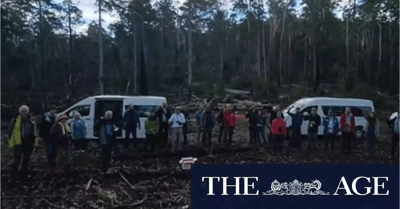 ‘Minds were blown’: These scientists were stunned at what’s happening on the NSW North Coast