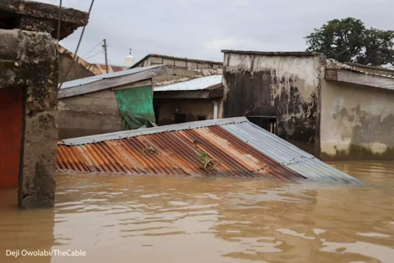 Five killed as flood wreaks havoc on Adamawa communities