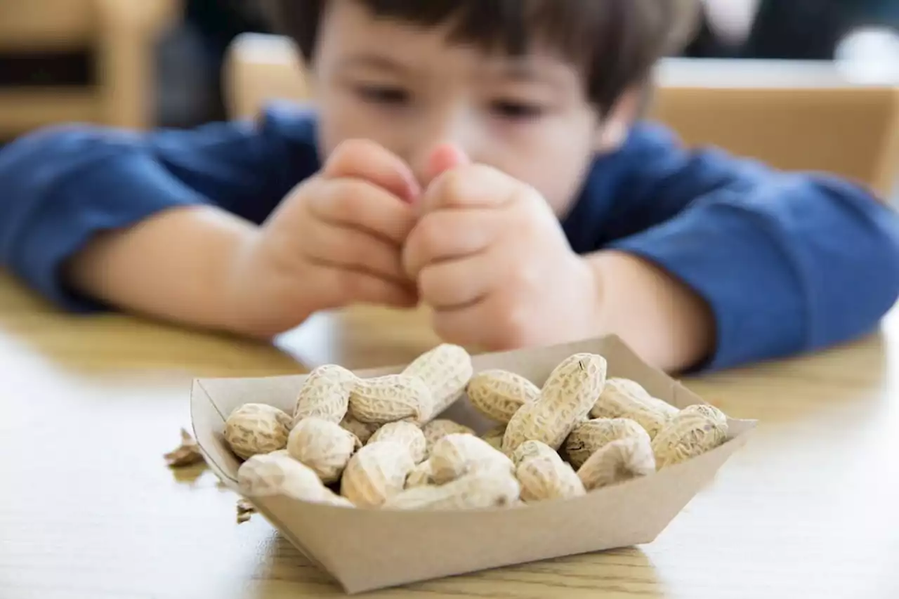 Good gut microbes could prevent childhood allergies, find B.C. researchers