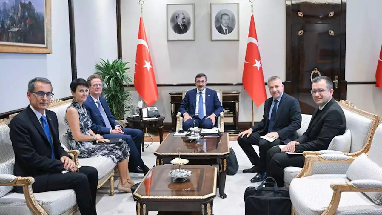 Türkiye-EU relations crucial for region: Turkish vice president