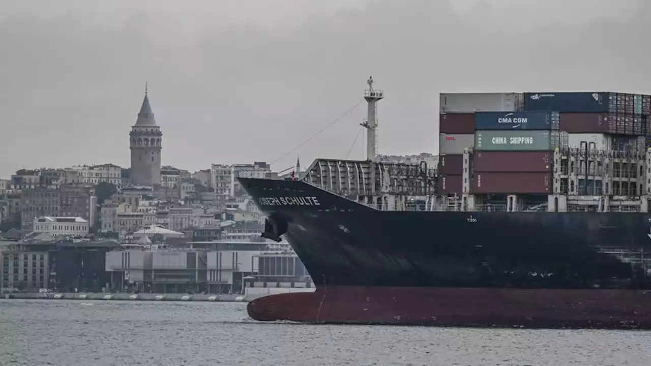 US hails Türkiye's efforts to revive the Black Sea grain deal