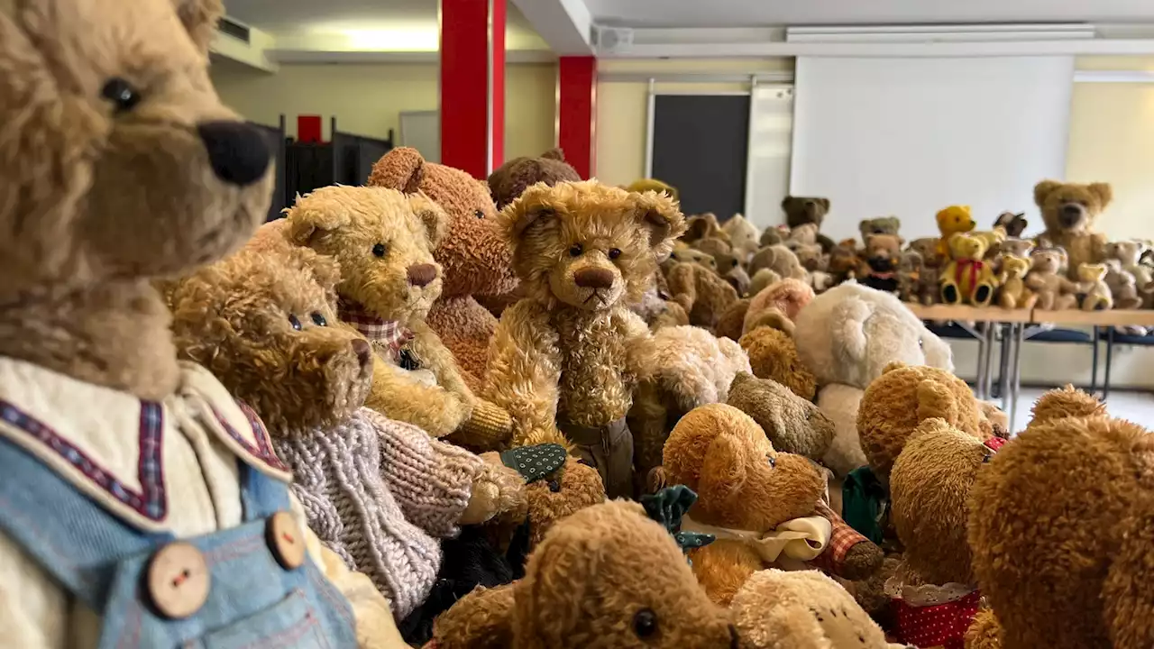 500 Teddybären für die Türkei