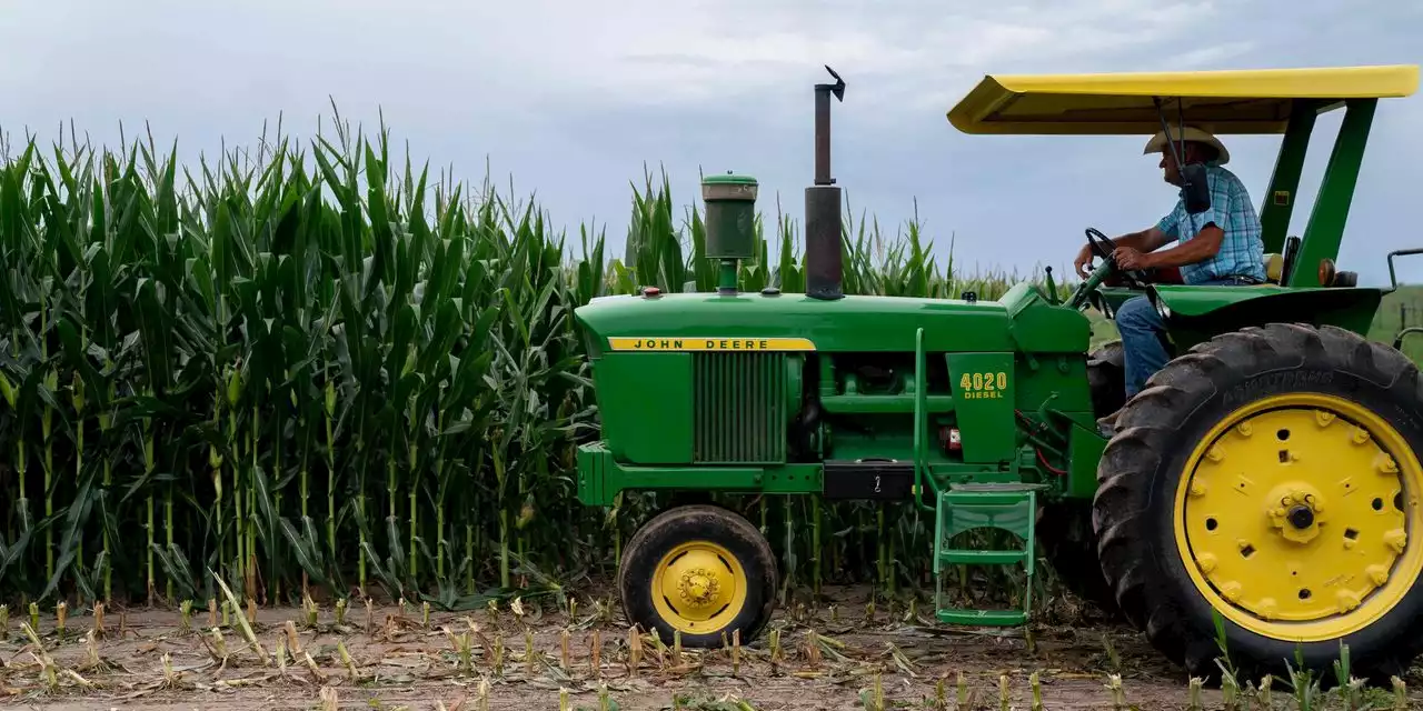 Timely Rains Relieve Some Pressure on Corn-Belt Crops