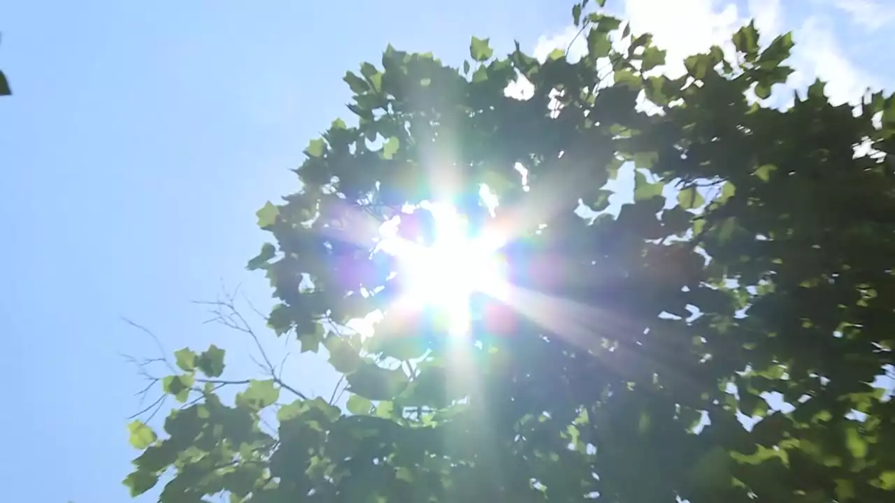 [날씨] 내륙 30℃ 안팎 늦더위...남해안·제주도 호우