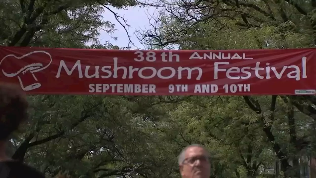 Thousands attend Mushroom Festival in Chester Co. amid manhunt for convicted murderer