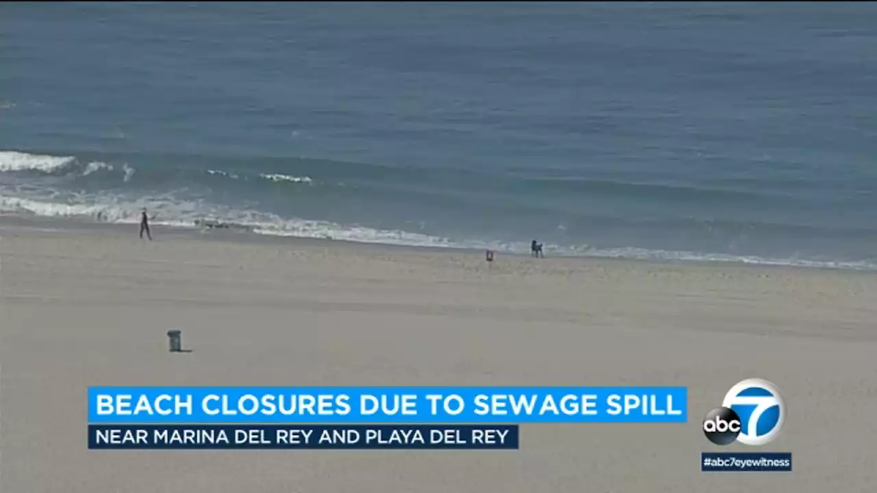 10,000-gallon sewage spill closes stretch of beach in Marina del Rey and Playa del Rey