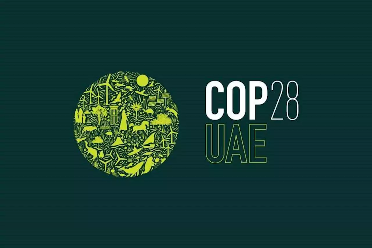 مشاركون في قمة العشرين: أنظار العالم تتجه نحو «COP28»