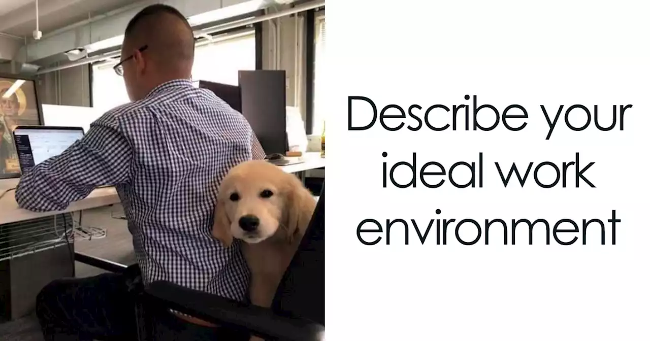 80 Truthful Memes About What It’s Like To Have A Dog