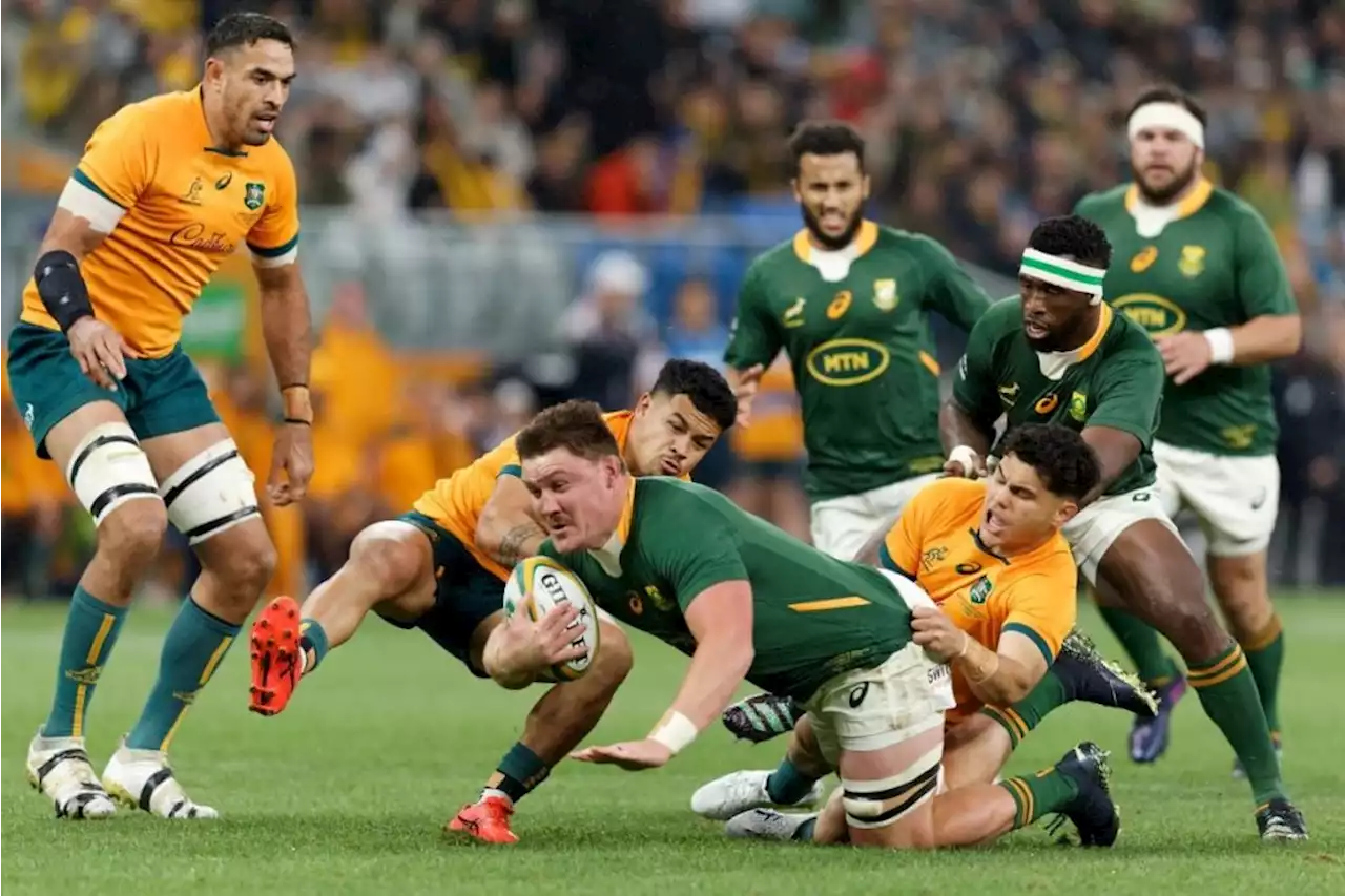 Rugby World Cup warning for businesses in South Africa